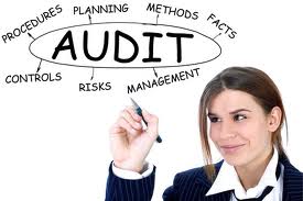 1_revised audit tool image