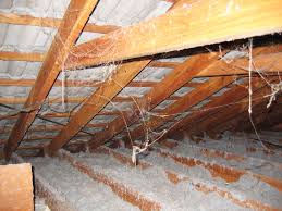 Availability of Assistance for Homes with Loose Fill Asbestos Announced