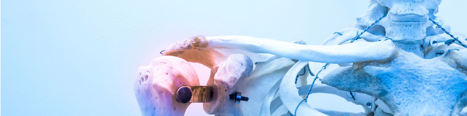 457925963-1600x400.jpg
