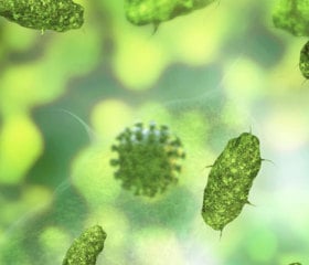 Novel Coronavirus workplace risk