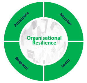 organisational resilience diagram