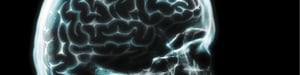dv385010-1600x400